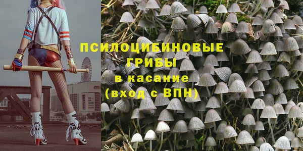 МДПВ Заволжье